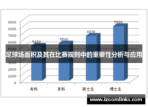 足球场面积及其在比赛规则中的重要性分析与应用