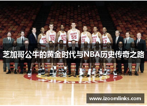 芝加哥公牛的黄金时代与NBA历史传奇之路 芝加哥公牛的黄金时代与NBA历史传奇之路